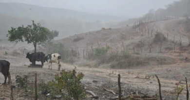 Inmet emite alerta de chuvas intensas para Bahia e mais 14 estados