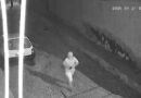 Ladrão é flagrado furtando veículo em bairro de Juazeiro