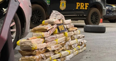 Homem é preso após ser flagrado em carro com mais de 50 kg de maconha na Bahia Homem é preso após ser flagrado em carro com mais de 50 kg de maconha na Bahia