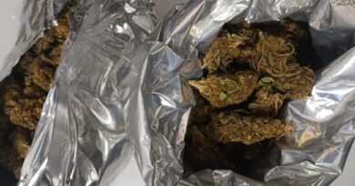 Prisão por Tráfico de drogas na cidade de Pindobaçu Prisão por Tráfico de drogas na cidade de Pindobaçu