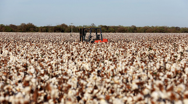 Boletim Agropecuário indica que setor impulsionou desempenho do PIB baiano no quarto trimestre de 2025