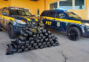 Ação da PRF e PM prende dupla com mais de 50 kg de “supermaconha” em Petrolina