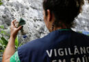 Calor, chuvas e influência do El Niño elevam risco de dengue no Brasil Calor, chuvas e influência do El Niño elevam risco de dengue no Brasil