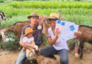 Baiana ganha cabra como salário, vira produtora de queijo e acumula medalhas com produtos premiados