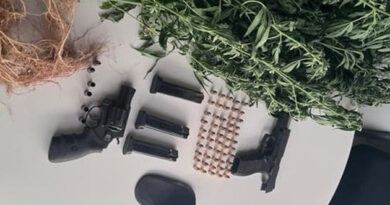 PMBA erradica plantação com cerca de 10 mil pés de maconha em Curaçá