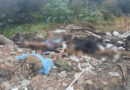 Corpos com sinais de violência são encontrados na zona rural de Petrolina