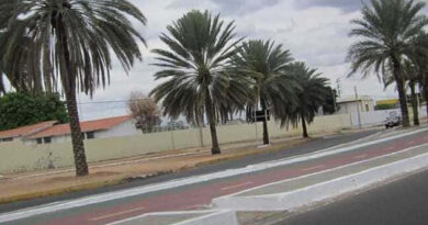 Idosa morre após ser atropelada por ônibus em avenida de Petrolina