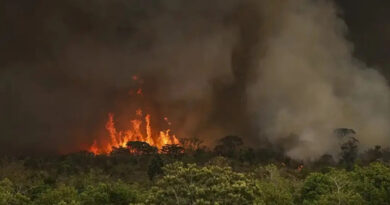 Incêndios florestais dobram no Amazonas em 2026, mas índice está abaixo da média histórica Incêndios florestais dobram no Amazonas em 2026, mas índice está abaixo da média histórica
