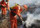 Bombeiros completam 100 dias de operação contra incêndios florestais com redução de 29% nos focos de calor