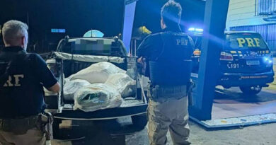 Homem é detido com 31 kg de maconha escondidos em sacos de ração